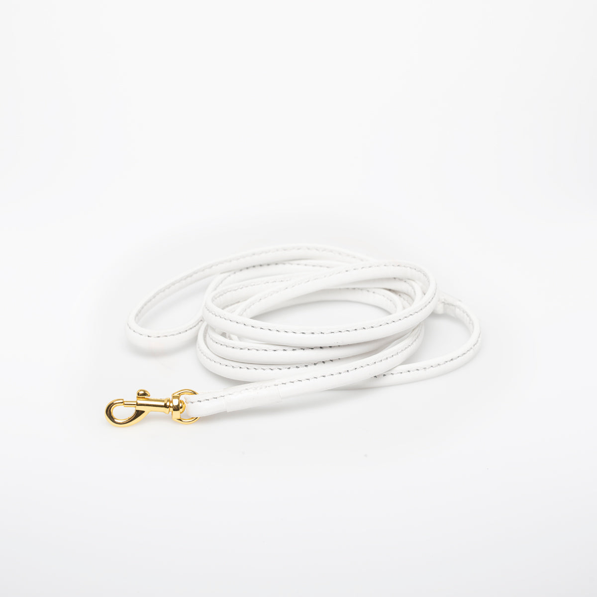Witte Hondenriem