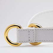 Witte Honden Martingale Breed