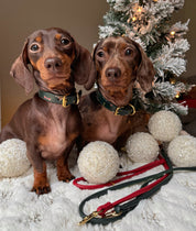 Kerstmis Hondenhalsband Dun